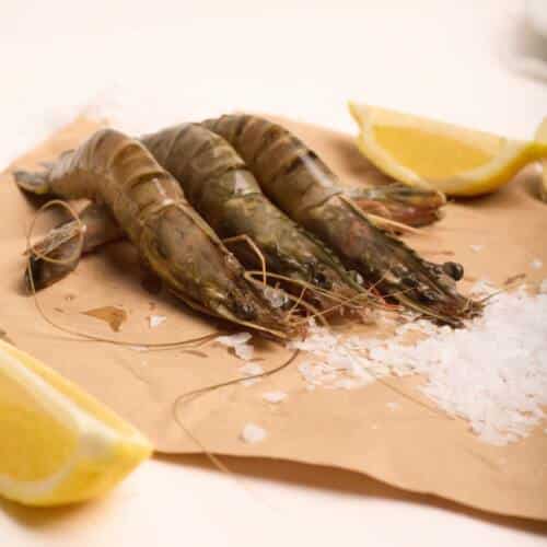 Camarão tigre preto cru